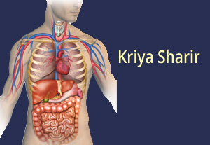 Kriya Sharir